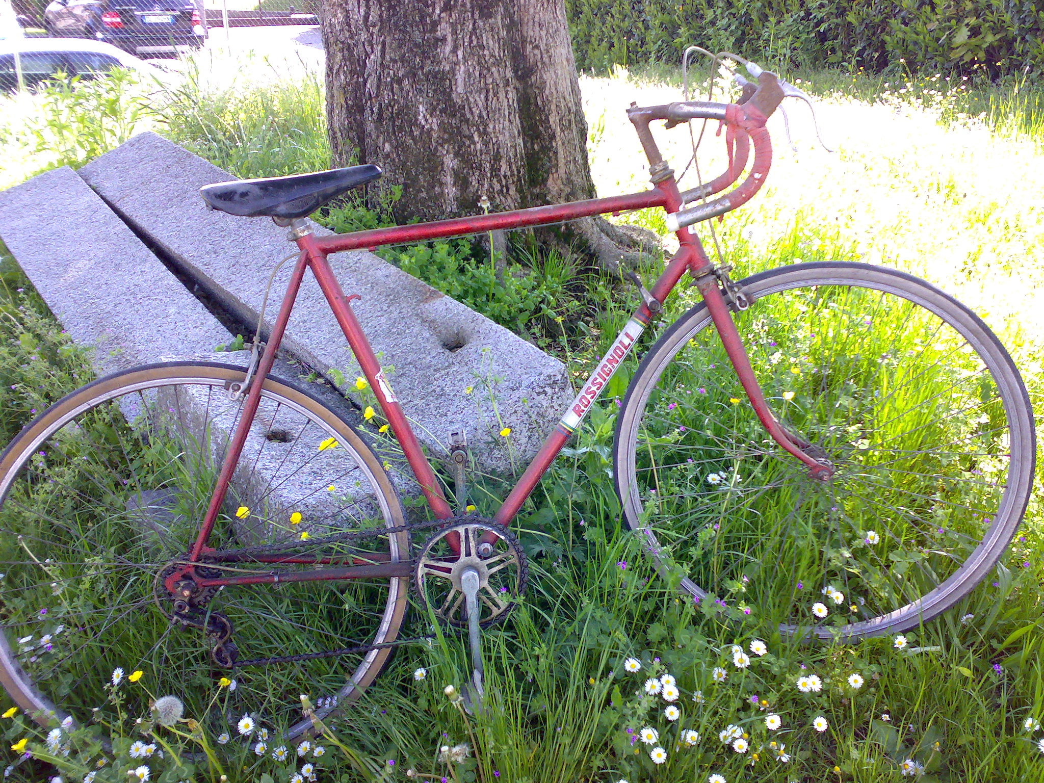 rossignoli bicycle